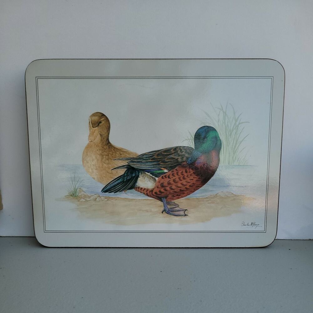 Vtg Jason Products Cork Placemats Charles McKenzie Ducks Set Of 5 New Zealand